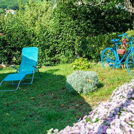 Apartman Mediteraneo *